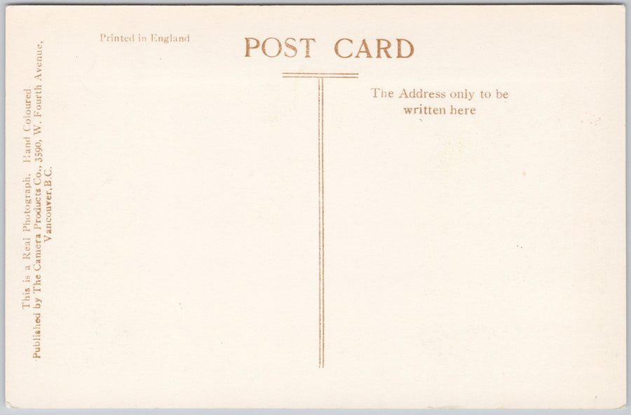 Cameron Falls Waterton Glacier International Peace Park Alberta Camera Products RPPC Postcard SP21