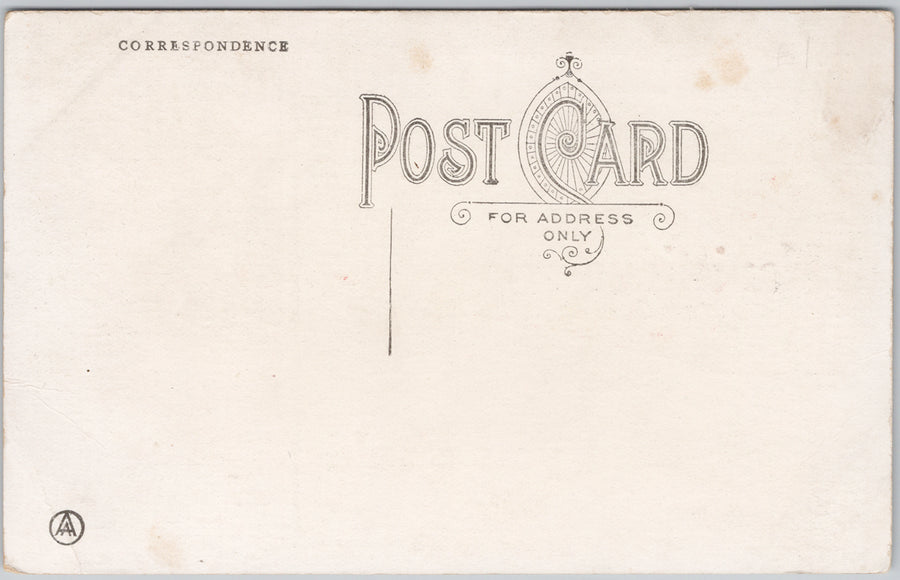 Manistique Michigan Yellow Pennant Greeting Picnic MI Unused Postcard SP21