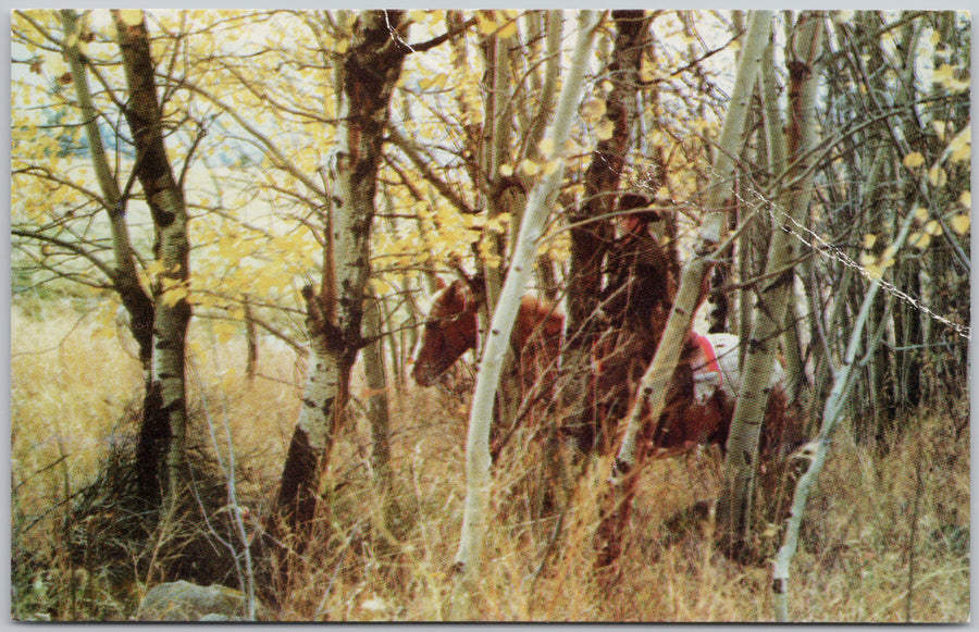 Nicola Valley BC Fall Round-Up Cowboy Horse British Columbia Postcard 