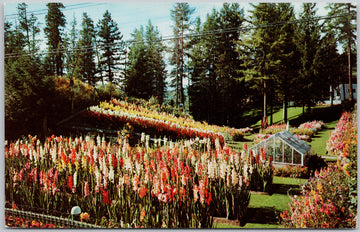 Cominco Gardens Kimberley BC British Columbia Dexter Postcard