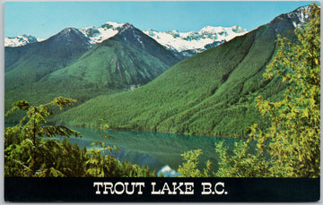 Trout Lake BC Lardeau Range British Columbia Golden Lardeau Postcard