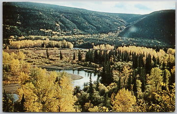 Pine River near Little Boulder BC British Columbia Dexter Postcard