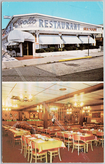 Apollo Restaurant Wildwood NJ New Jersey USA Postcard 