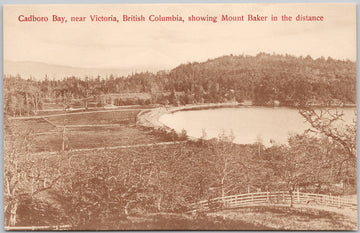 Cadboro Bay Victoria BC Vancouver Island Hibben Postcard