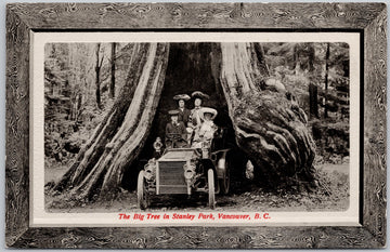 Vancouver BC Big Tree Big Hollow Tree Ladies Automobile Pacific Novelty Co PNC Glosso Postcard 
