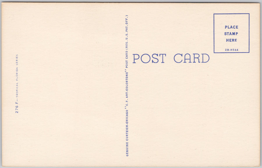 Greetings from Florida Large Letter Land of Sunshine USA Linen Postcard SP21