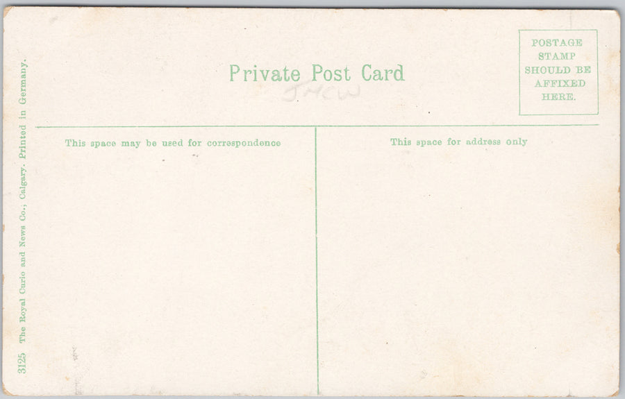 Calgary Alberta CPR Freight Yards Trains Rail Cars Royal Curio Postcard SP21