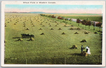 Wheat Field Western Canada Wedding ?? Farming Agriculture Postcard 
