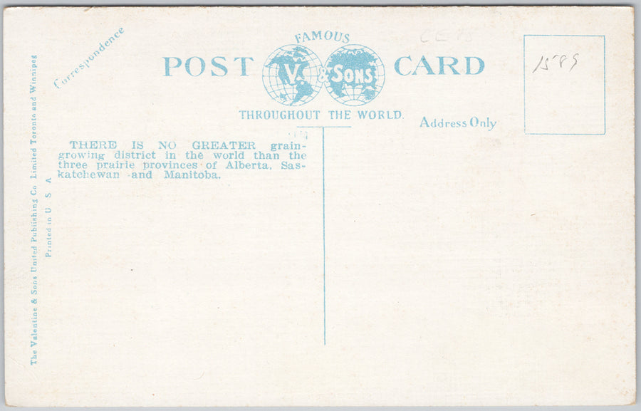 Wheat Field Western Canada Wedding ?? Farming Agriculture Postcard SP21