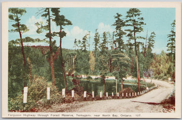 Ferguson Highway Forest Reserve Temagami North Bay Ontario ON PECO Postcard 