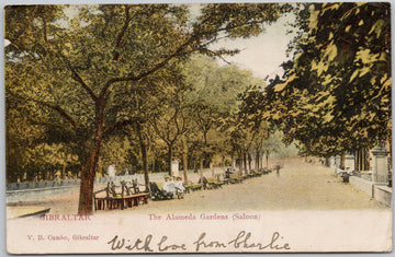 Gibraltar Alameda Gardens Saloon 1907 Aden Postmark Postcard 