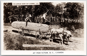 Penticton BC Exaggerated Ear of Corn Cob Canada RPPC Postcard 