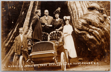 Wedding Under Big Tree Stanley Park Vancouver BC Big Hollow Car RPPC Postcard 