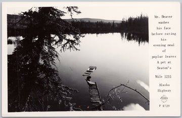  Beaver Mile 1235 Alaska Highway Northway AK Postcard 