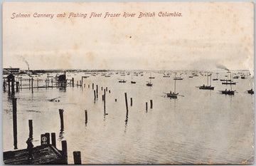 Salmon Cannery Fishing Fleet Fraser River Postcard 