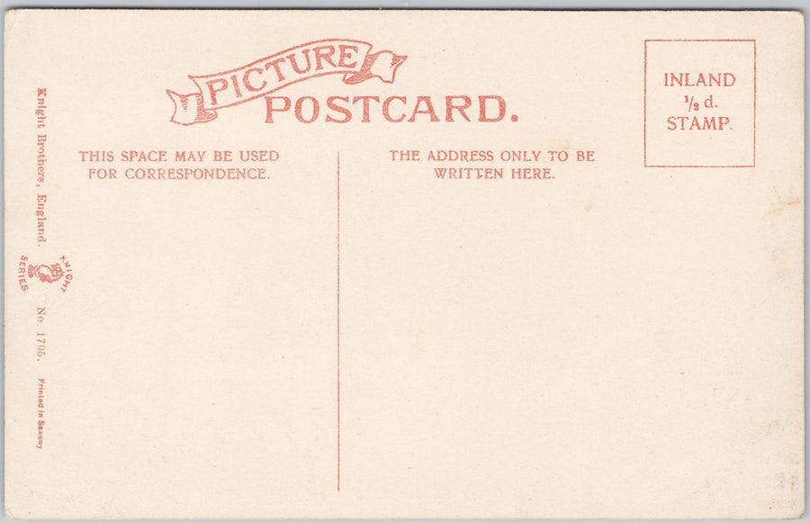 Favourite Dogs The Setter Bird Dog Unused Knight Brothers Postcard