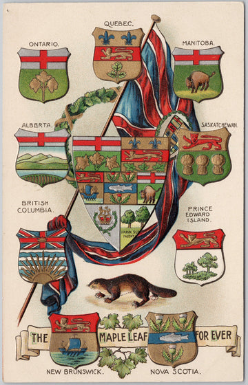 Canada Patriotic Provincial Coat of Arms Shields Maple Leaf For Ever Embossed Postcard 