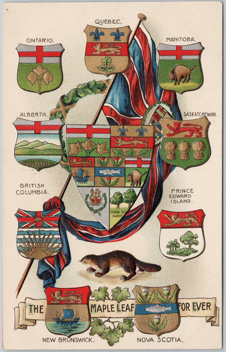Canada Patriotic Provincial Coat of Arms Shields Maple Leaf For Ever Embossed Postcard 