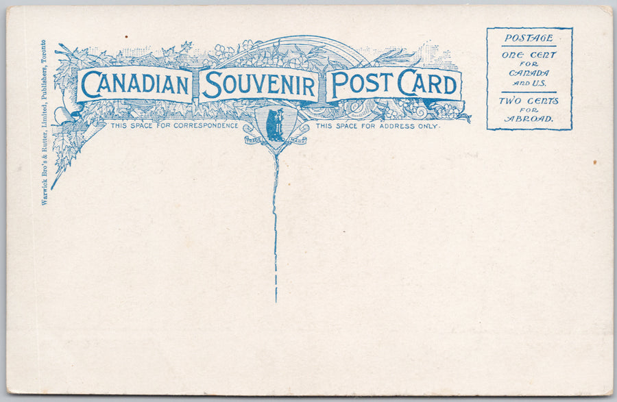 Musk Ox Western Canada Unused Warwick Rutter Postcard 
