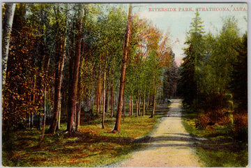 Riverside Park Strathcona Alberta Edmonton Postcard 
