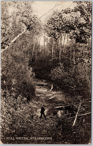 Mill Creek Strathcona Alberta Edmonton AB Postcard SP21