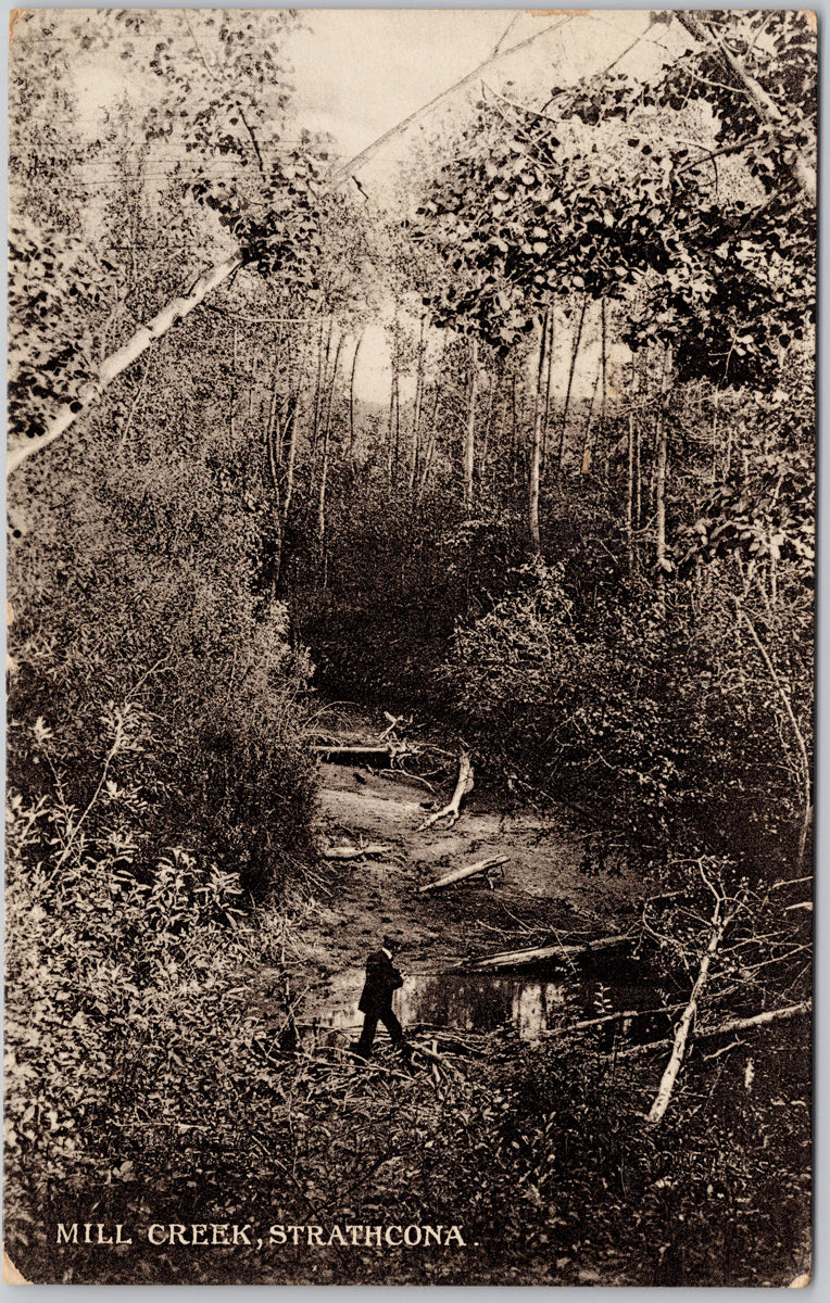 Mill Creek Strathcona Alberta Edmonton AB Postcard SP21