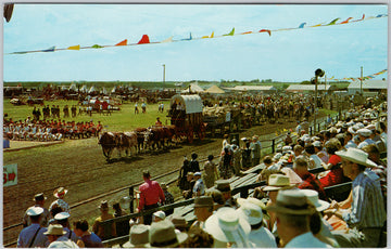 Saskatoon Pion Era Parade Oxen Wagons Saskatchewan Canada Vintage Postcard 