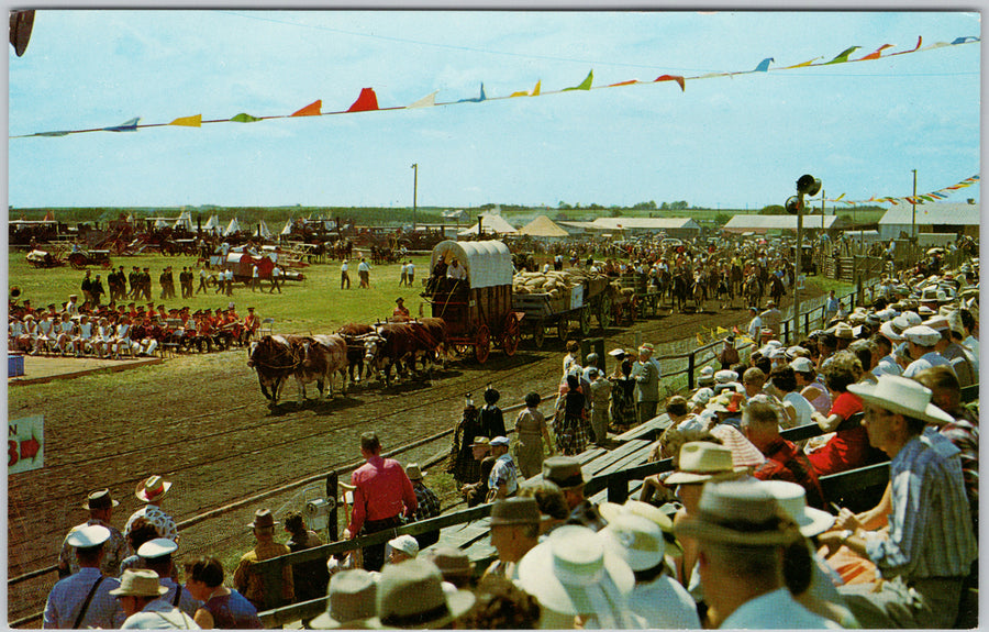 Saskatoon Pion Era Parade Oxen Wagons Saskatchewan Canada Vintage Postcard 
