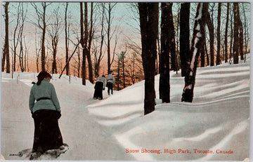 Snow Shoeing High Park Toronto  Postcard 