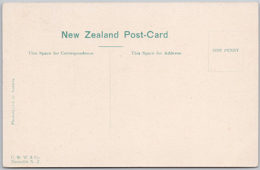 Yachting Otago Harbour NZ Sailing Boat  Postcard C.W.W. & Co Postcard