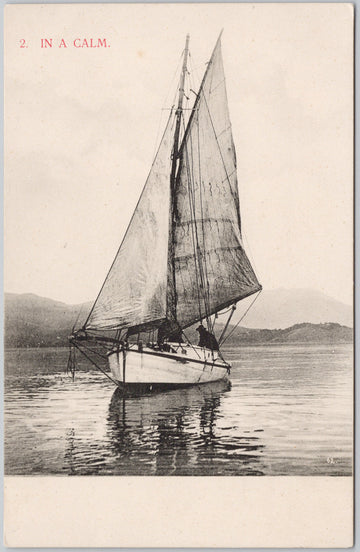 Yachting Otago Harbour NZ Sailing Boat Lithograph Postcard by C.W.W. & Co Postcard 