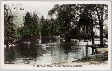 Victoria BC Beacon Hill Park Swans RPPC Postcard 