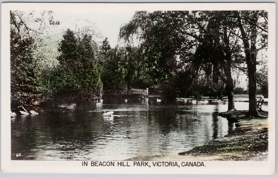 Victoria BC Beacon Hill Park Swans RPPC Postcard 