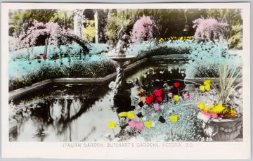 Victoria BC Italian Garden Flowers Butchart Gardens RPPC Postcard