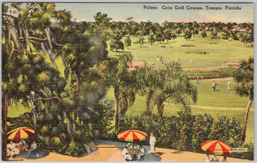 Vintage Palma Ceia Golf Course Tampa Florida Unused Linen Postcard