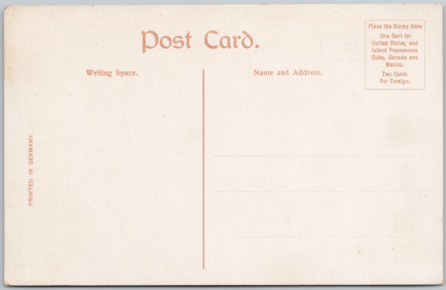 Willie White Bird and Stella White Eagle Native American Indian Children Indigenous People Postcard 