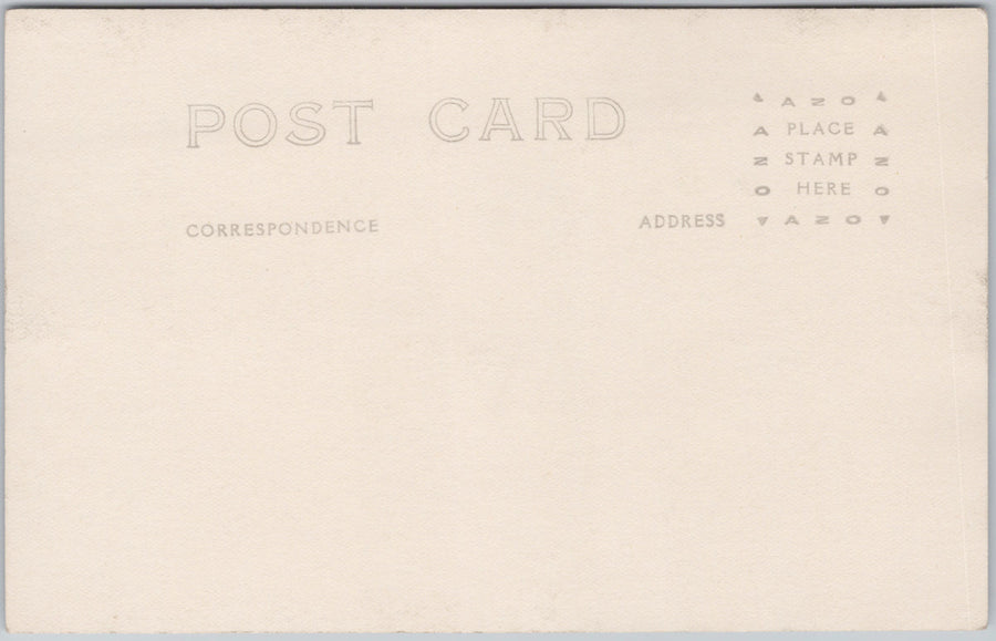 Rainier National Park WA Flowers Along the Indian Henry's Trail Asahel Curtis RPPC Postcard 