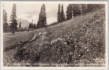 Rainier National Park WA Flowers Along the Indian Henry's Trail Asahel Curtis RPPC Postcard 