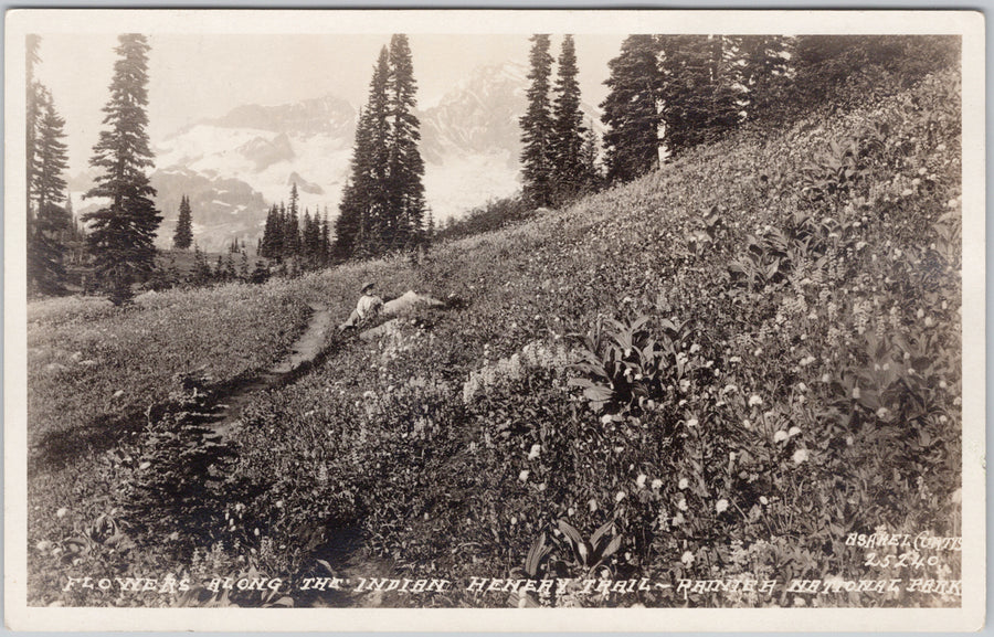Rainier National Park WA Flowers Along the Indian Henry's Trail Asahel Curtis RPPC Postcard 