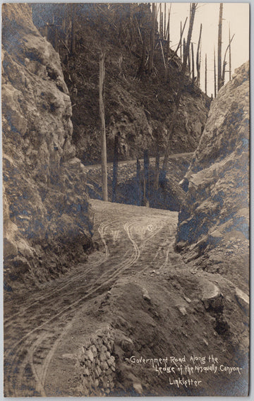 Government Road along Ledge of Nisqually Canyon WA Pacific Northwest L.G. Linkletter RPPC Postcard 