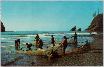 Smelt Fishing Pacific Ocean Seacoast Oregon Washington Postcard