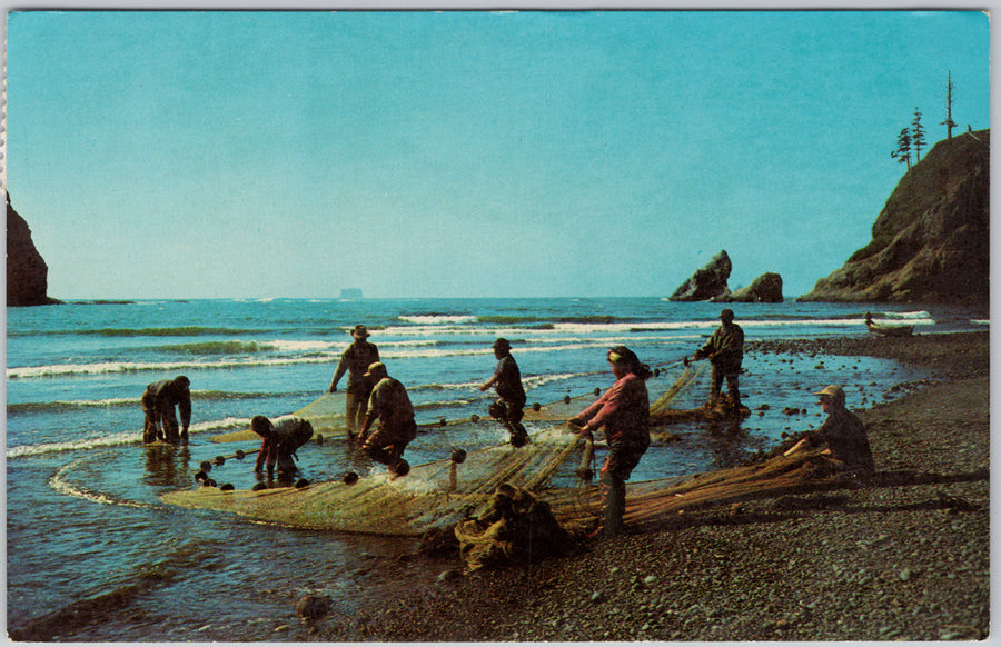 Smelt Fishing Pacific Ocean Seacoast Oregon Washington Postcard
