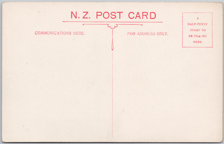 Newton West School Auckland New Zealand Unused Postcard 