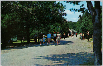Camp Michaux Gardners PA Street Scene Vintage 1963 Postcard