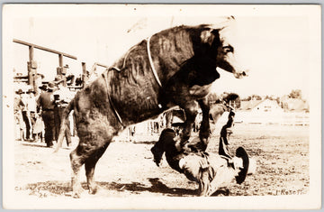 Calgary Stampede Rodeo Cowboy Bull Rider #26 Rosettis RPPC Postcard 