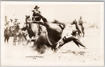 Calgary Stampede Rodeo Cowboy Bronc Rider #132 Rosettis RPPC Postcard 