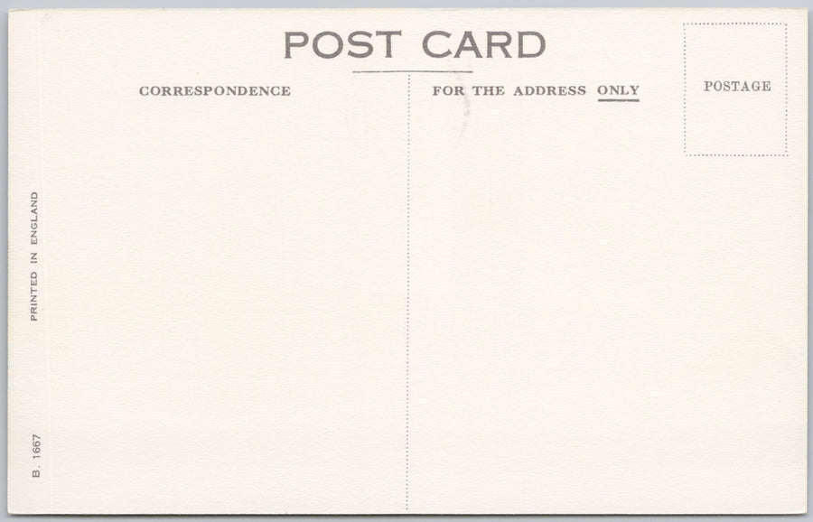 Cunard RMS Saxonia Ocean Liner Painted Maritime View Tugboats c1950s Postcard 