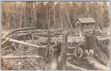 Man and Dog Homesteader Pioneer Clearing Land Empire RPPC Postcard 
