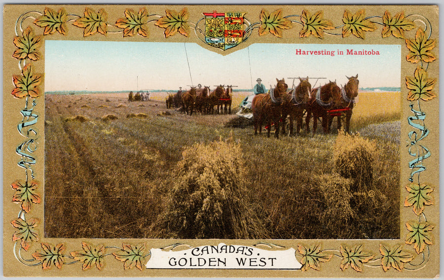 Canada's Golden West Harvesting in Manitoba Canada Patriotic Postcard
