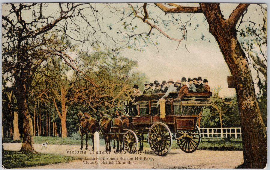 Victoria BC Tally-Ho Transfer Co Beacon Hill Park Tourists Unused Hibben Postcard 